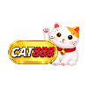 cat888